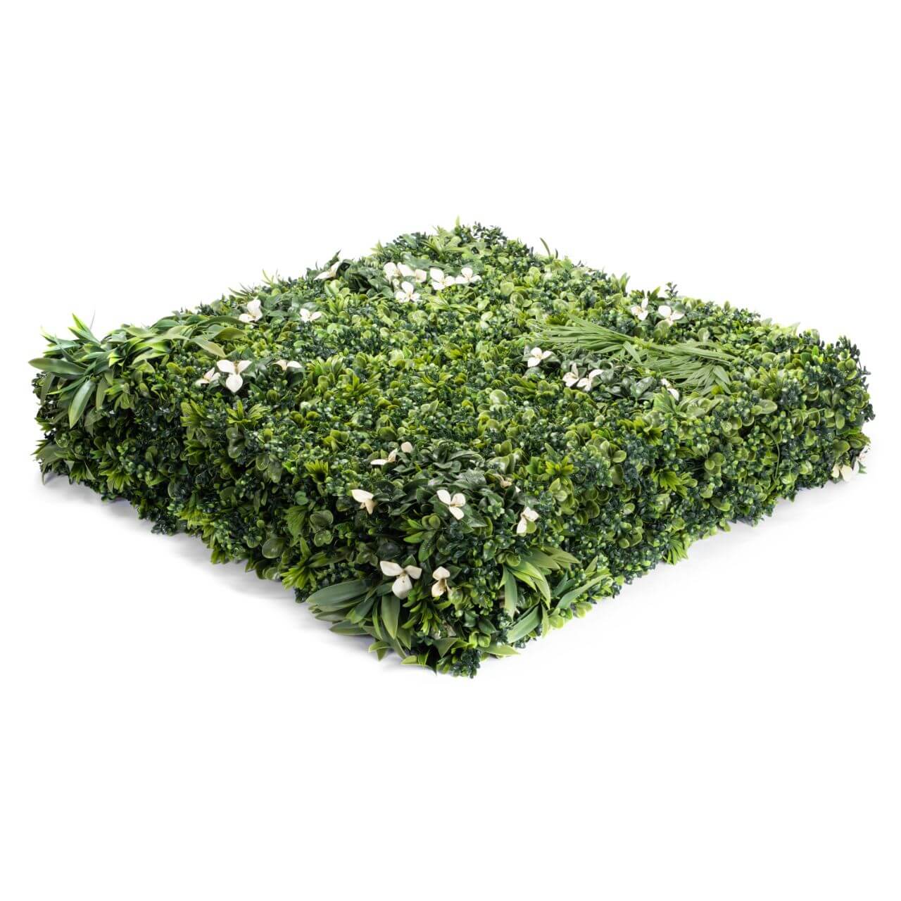 IVY Oasis