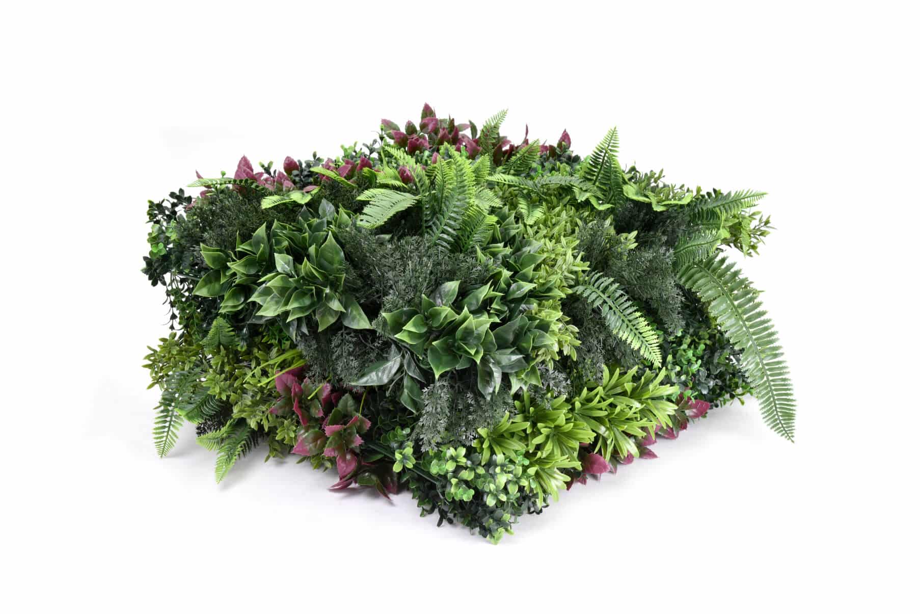 IVY Passion