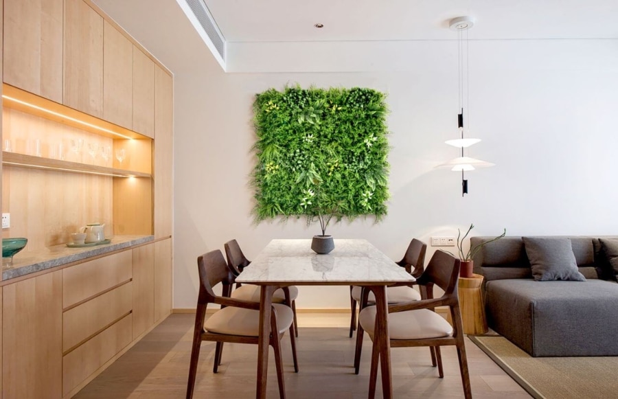 IVY Tropic
