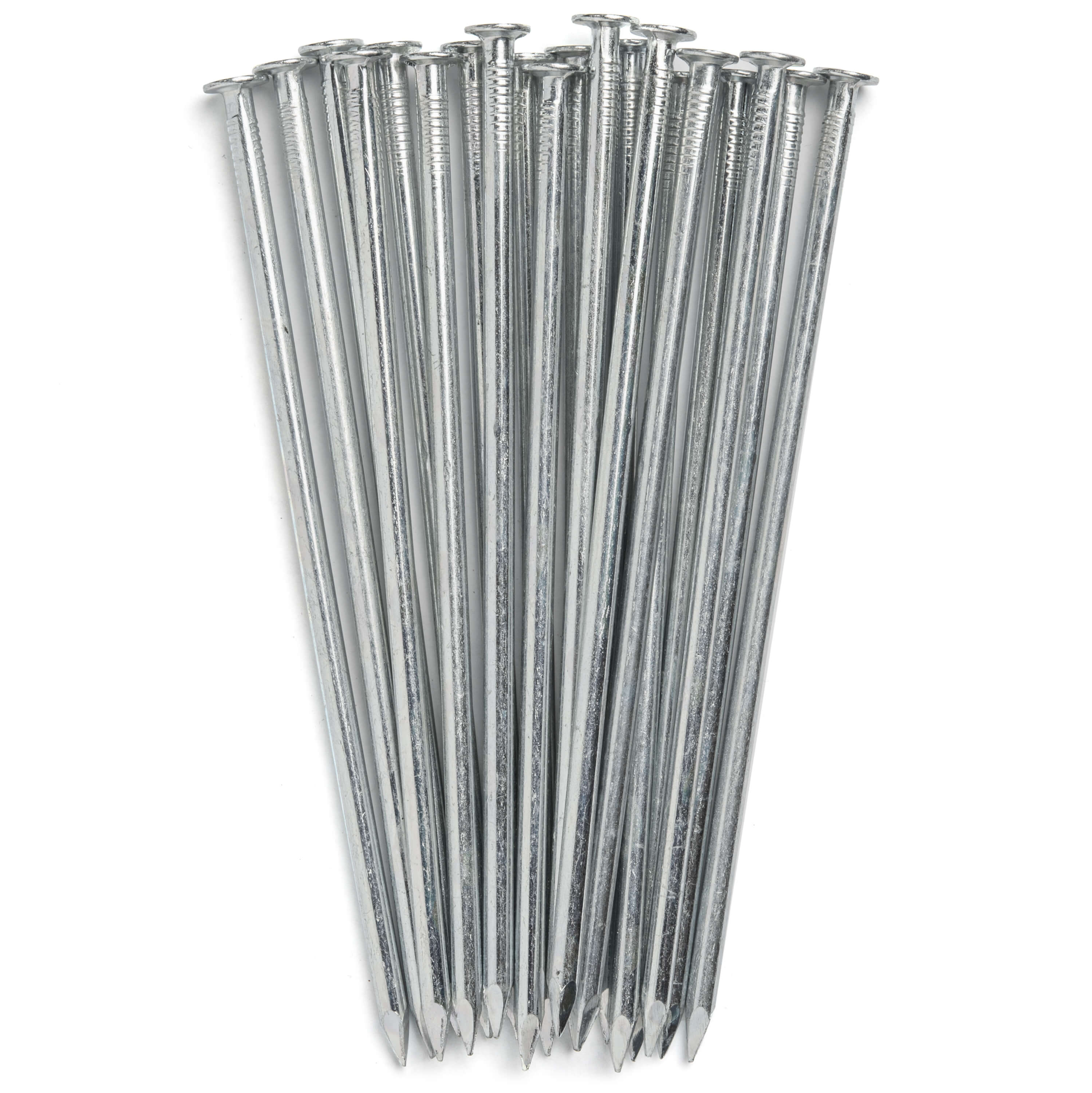 5.5" EG Nails (Box)